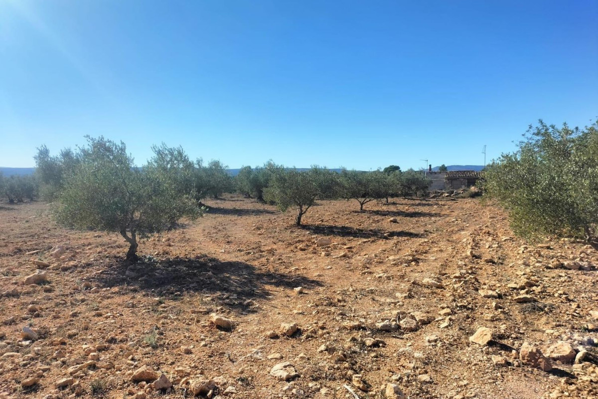 Terreno en venta en Navarrés, Valencia photo 3