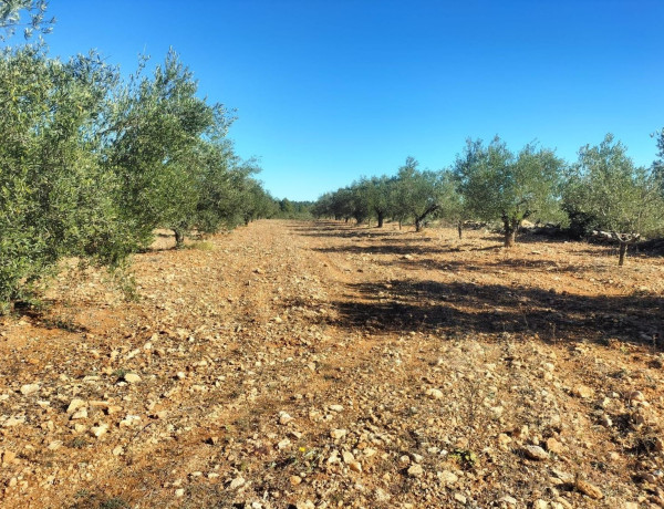 Terreno en venta en Navarrés photo 4
