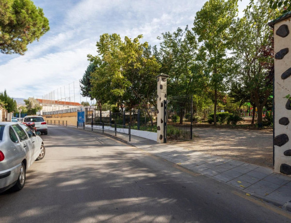 Terreno en venta en calle Pintor Apperley photo 4