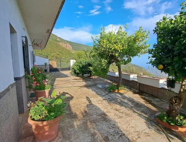 Коттедж на продажу в  Montaña-Zamora-Cruz Santa-Palo Blanco , Los Realejos photo 1