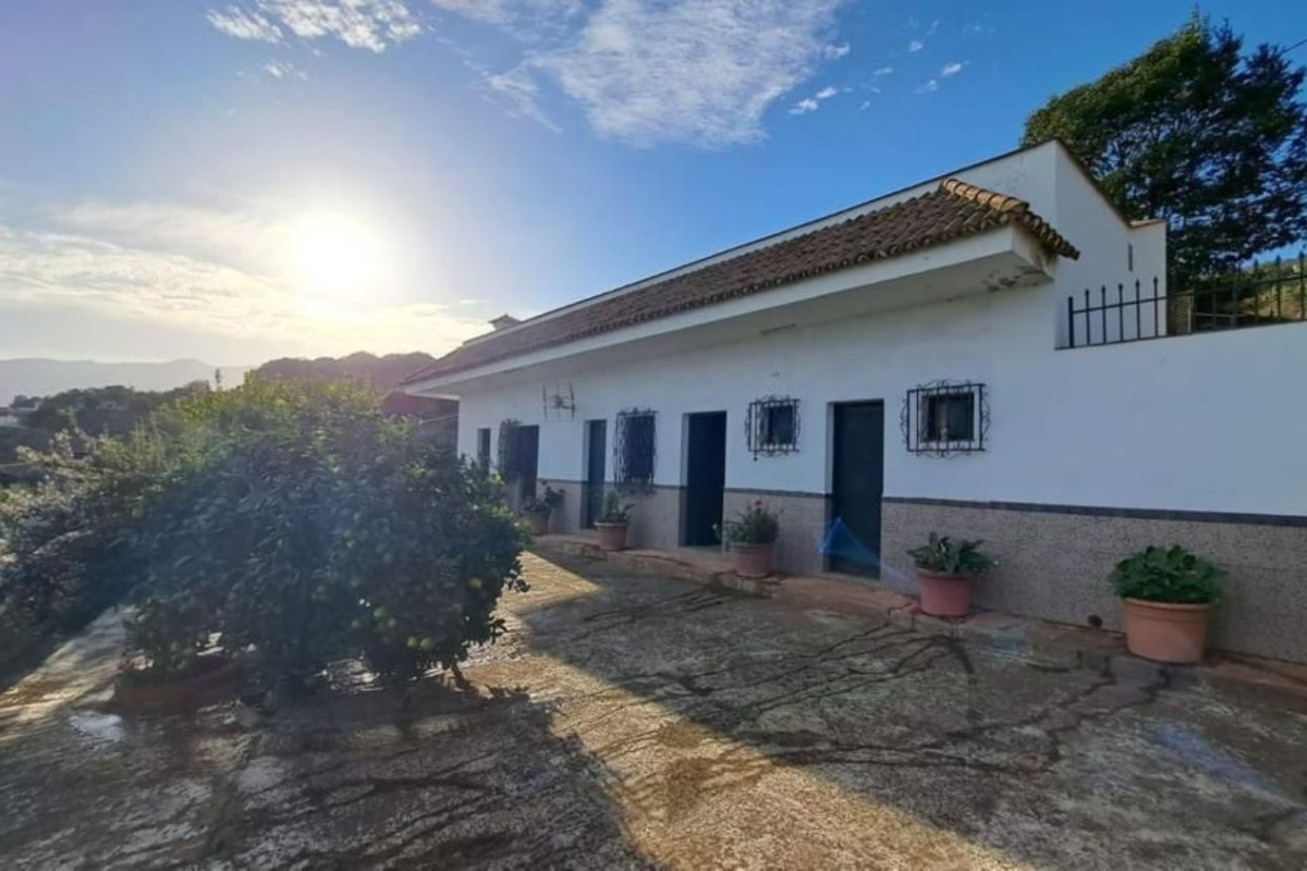 Sale of independent chalet in Montaña-Zamora-Cruz Santa-Palo Blanco, Los Realejos
 photo 2