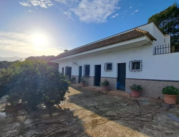 Коттедж на продажу в  Montaña-Zamora-Cruz Santa-Palo Blanco , Los Realejos photo 2