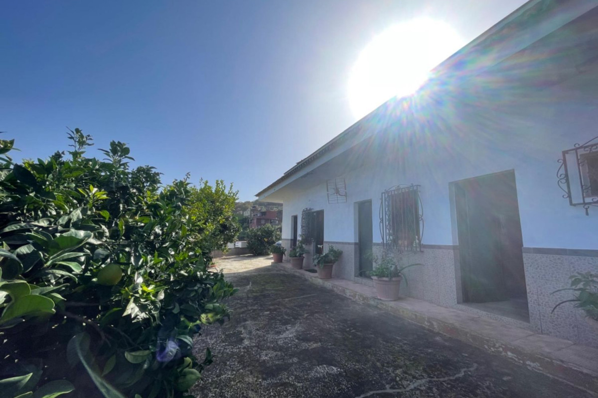 Sale of independent chalet in Montaña-Zamora-Cruz Santa-Palo Blanco, Los Realejos
 photo 4