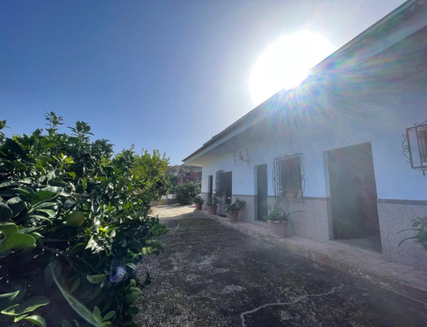 Коттедж на продажу в  Montaña-Zamora-Cruz Santa-Palo Blanco , Los Realejos photo 4
