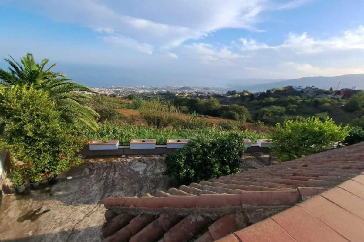 Sale of independent chalet in Montaña-Zamora-Cruz Santa-Palo Blanco, Los Realejos
 photo 5