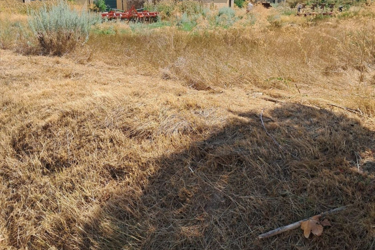 Terreno en venta en Berlanga de Duero, Soria photo 4