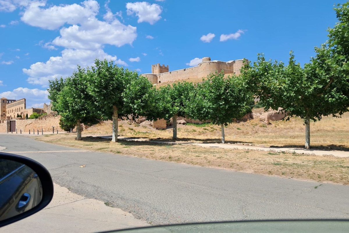 Terreno en venta en Berlanga de Duero, Soria photo 5