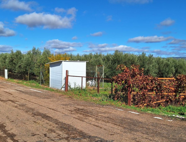 Detached villa for sale in , Porzuna photo 4