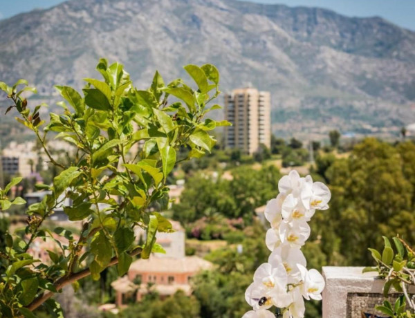 Дуплекс на продажу в Calle 01B, 13 b, Marbella photo 4