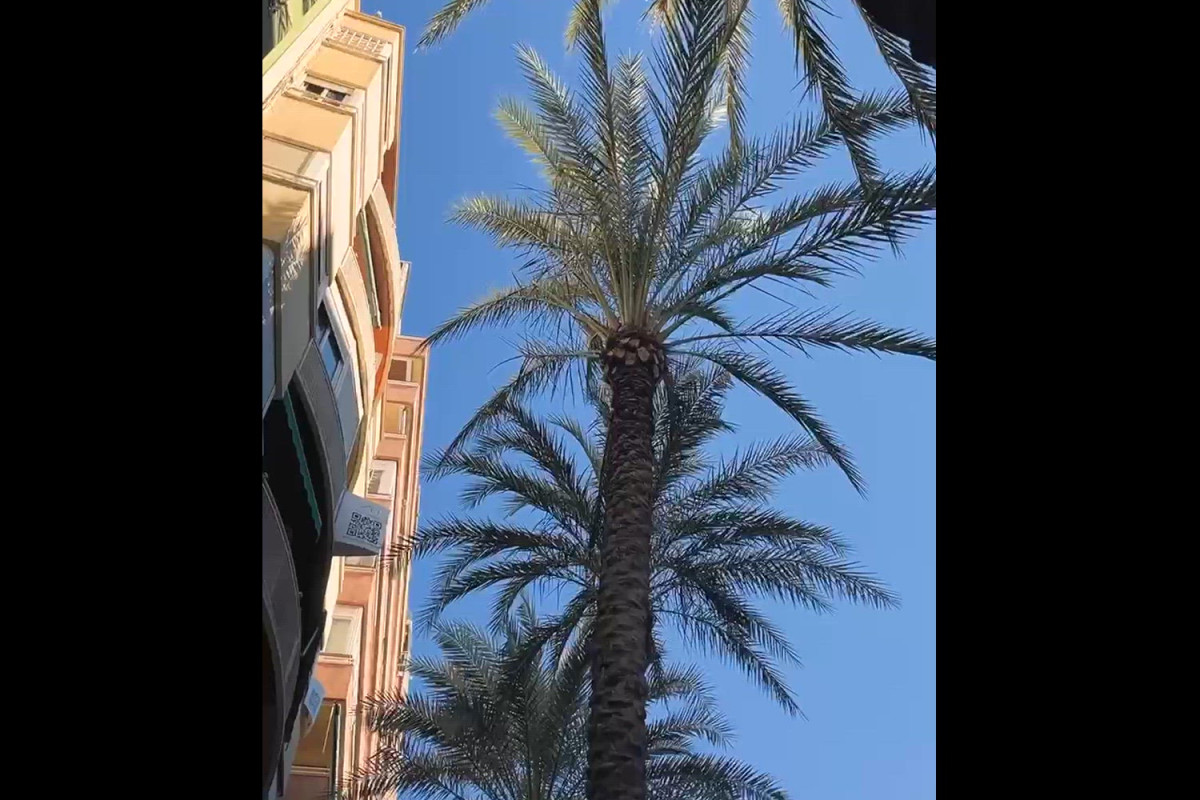 Sprzedaż duplexu w Calle Segura, 3, Alicante / Alacant photo 1