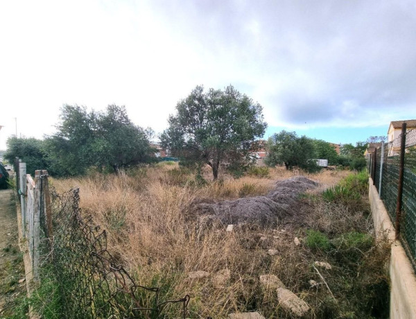 Terreno en venta en El Tancat - Mas d'en Gual photo 4