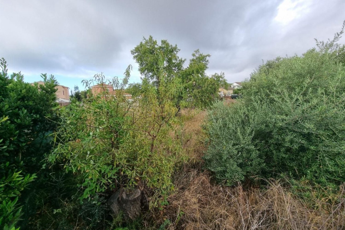 Działka na sprzedaż w El Vendrell, Tarragona photo 5
