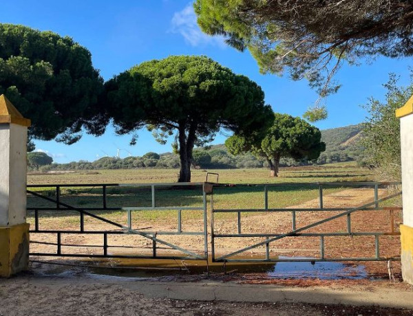 Terreno en venta en carretera Medina-Benalup s/n photo 1