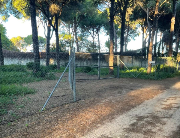 Terreno en venta en A-372 s/n photo 3