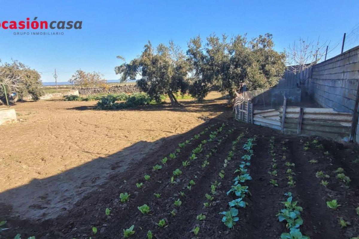 Terreno en venta en Pozoblanco, Córdoba photo 2