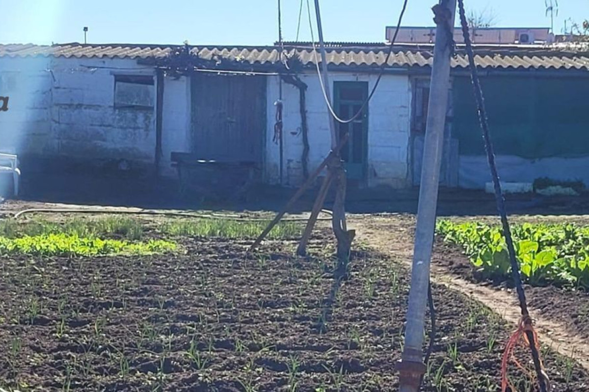 Terreno en venta en Pozoblanco, Córdoba photo 3