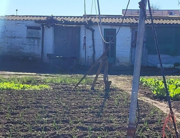 Terreno en venta en Pozoblanco photo 3