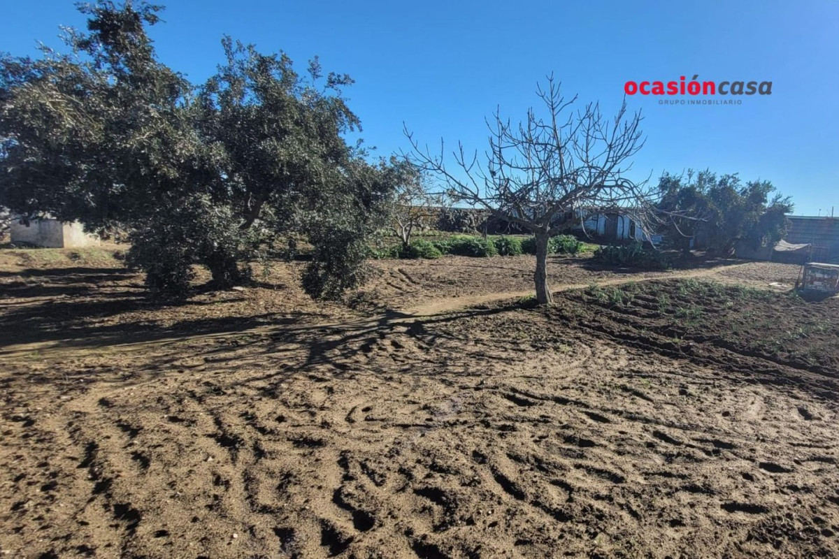 Terreno en venta en Pozoblanco, Córdoba photo 4