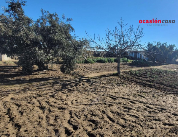 Terreno en venta en Pozoblanco photo 4