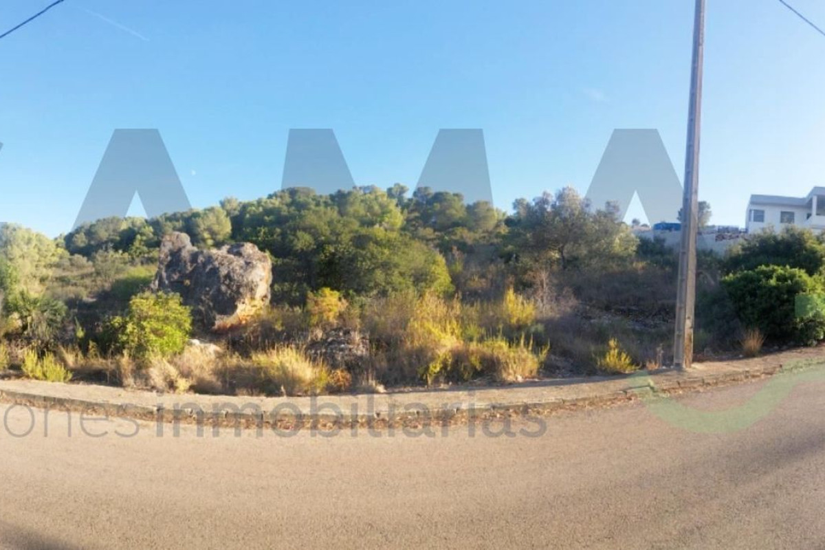 Land for sale in Alberique, Valencia photo 2