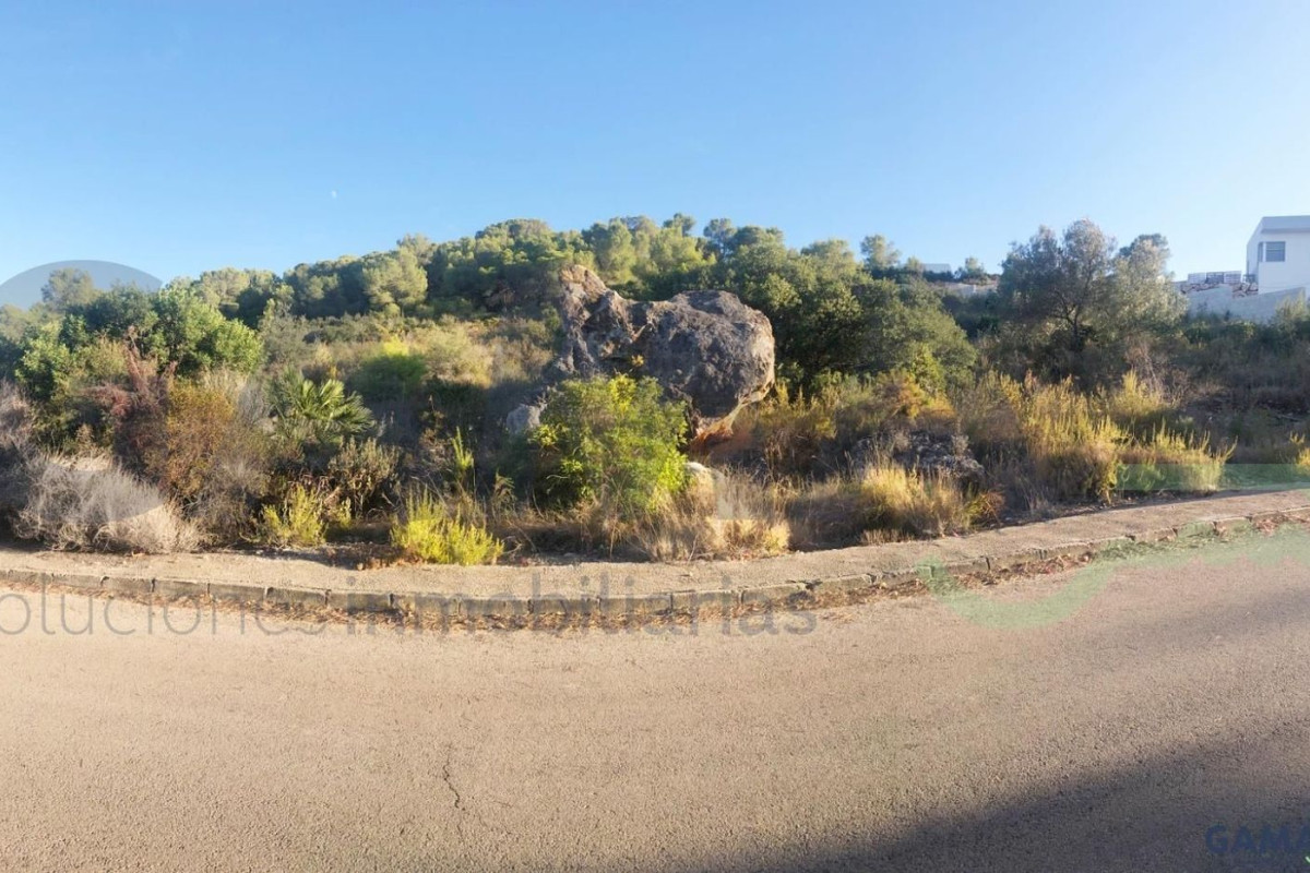 Land for sale in Alberique, Valencia photo 3