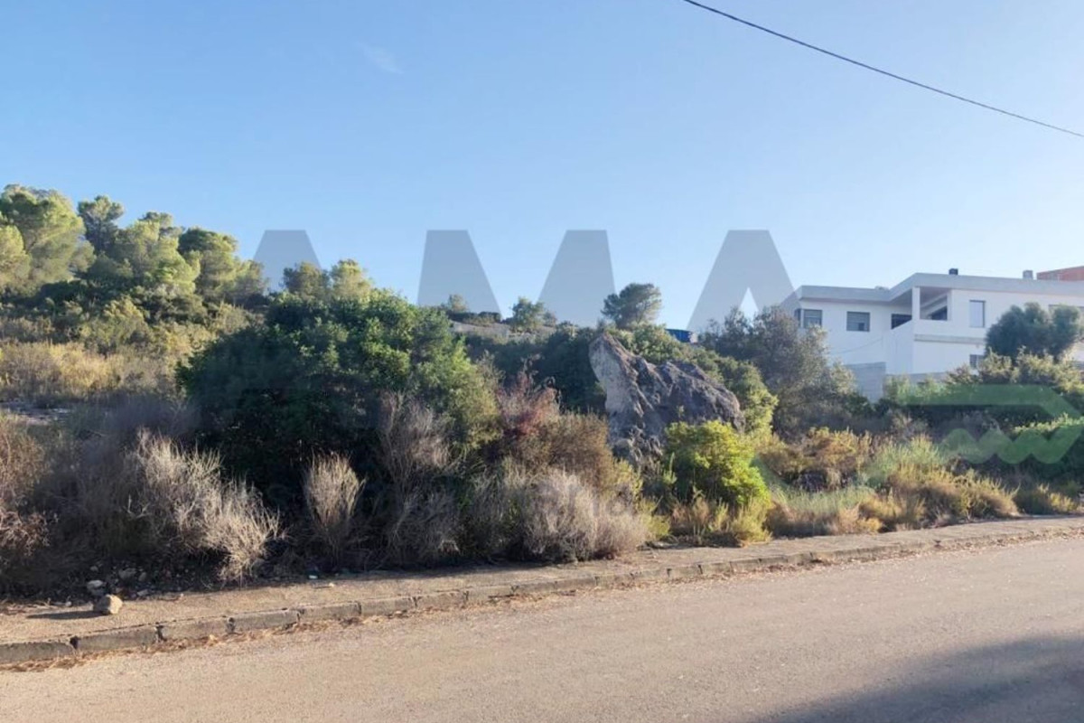 Land for sale in Alberique, Valencia photo 4
