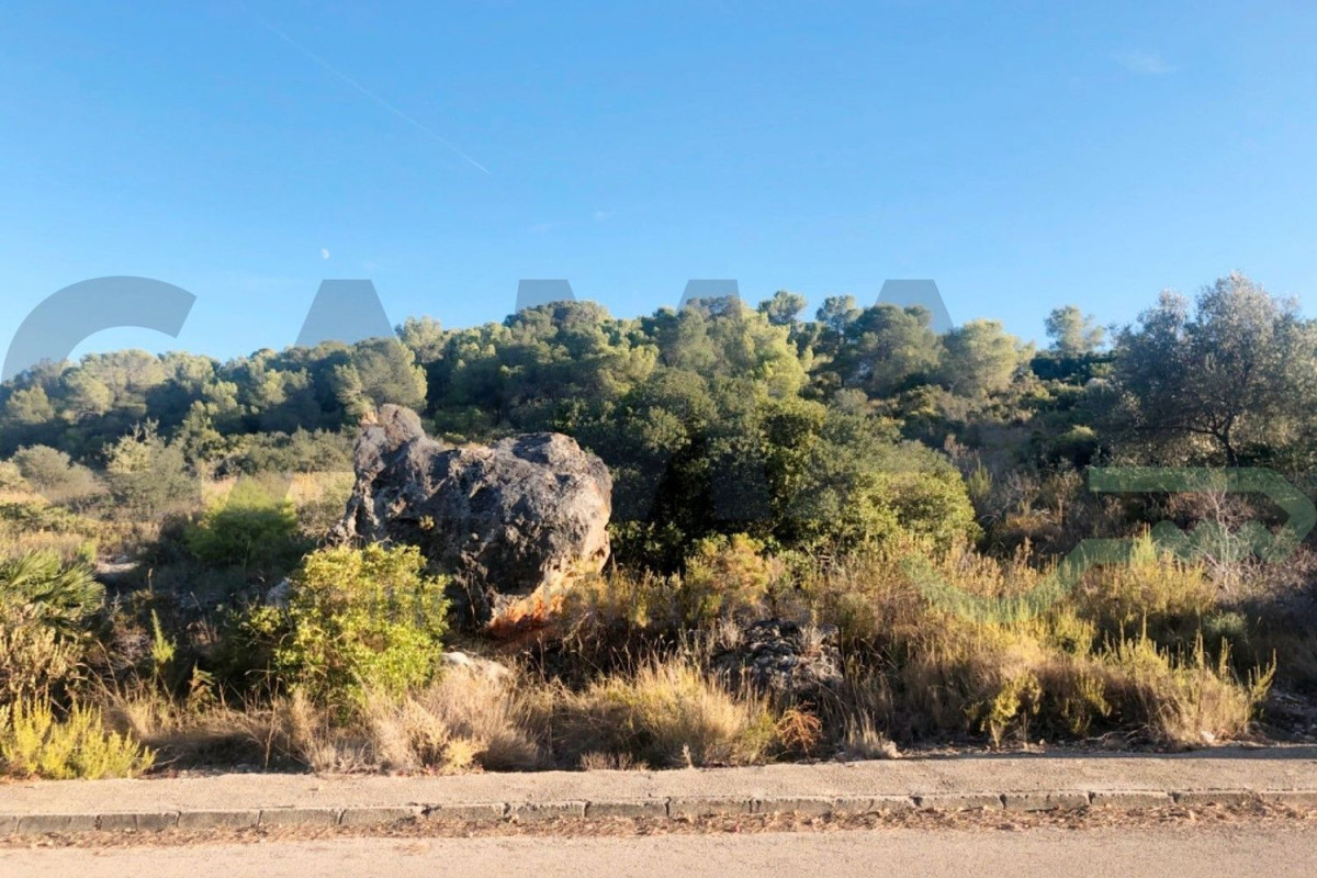 Land for sale in Alberique, Valencia photo 5