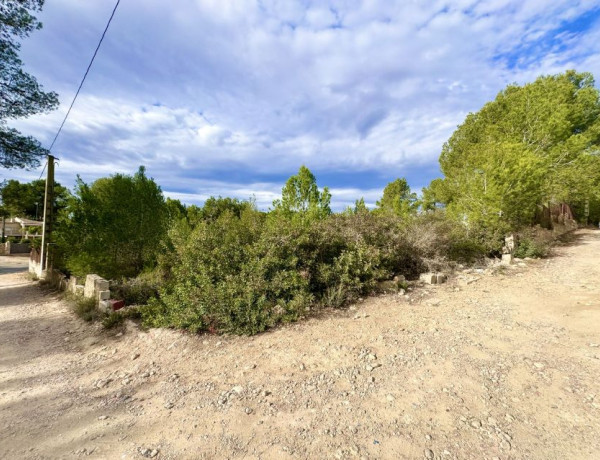 Terreno en venta en Vuela de los Pinos photo 1