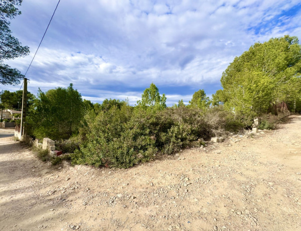Terreno en venta en Vuela de los Pinos thumbnail 1