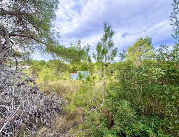 Terreno en venta en Vuela de los Pinos photo 4