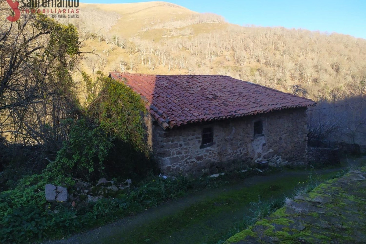 Casa o chalet independiente en venta en Los Tojos, Los Tojos
 photo 3