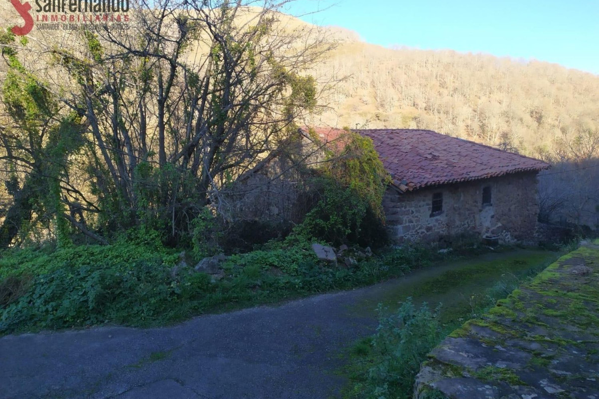 Casa o chalet independiente en venta en Los Tojos, Los Tojos
 photo 4