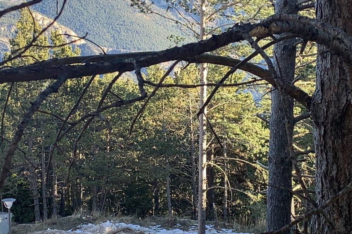 Działka na sprzedaż w La Coma i la Pedra, Lleida photo 2