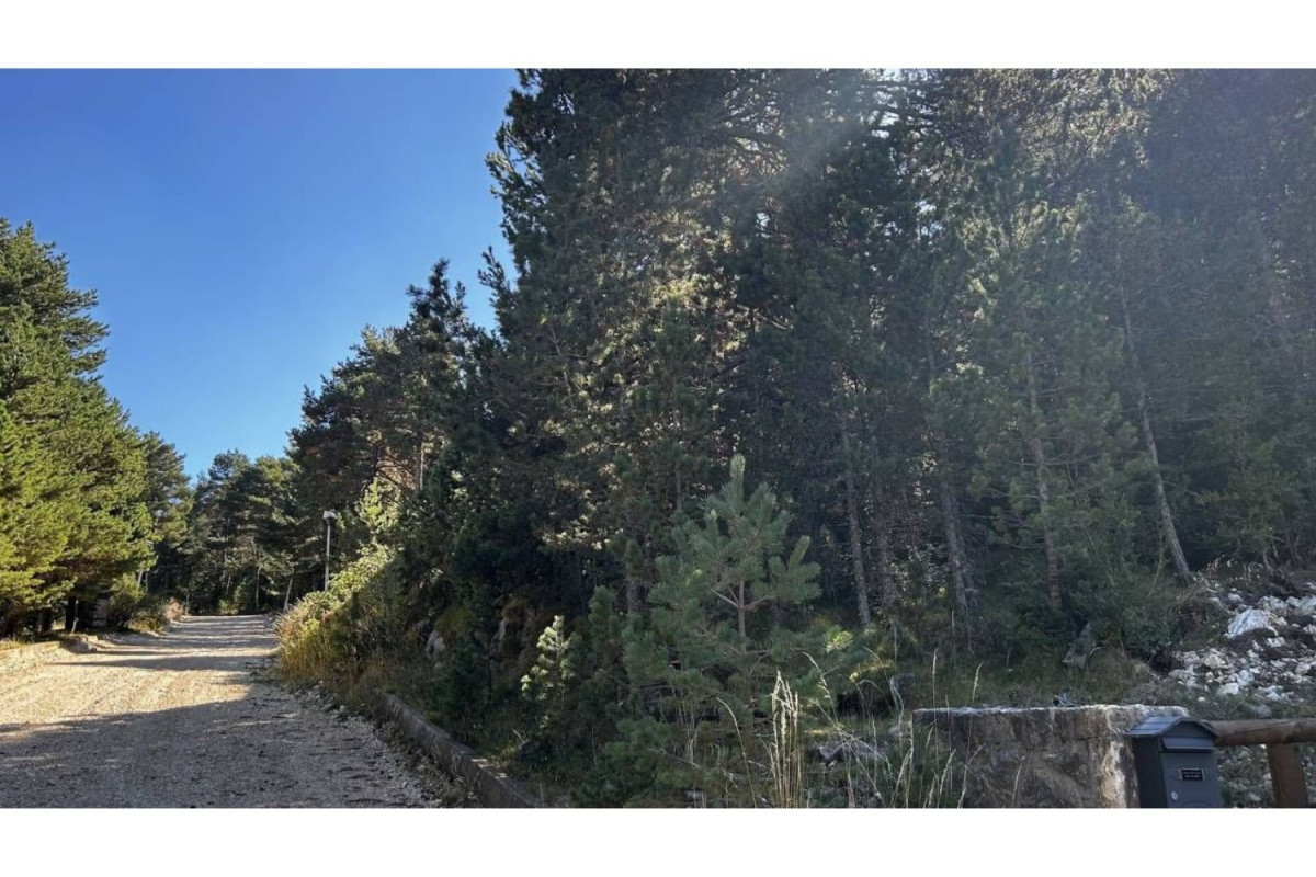 Land for sale in La Coma and la Pedra, Lleida photo 2