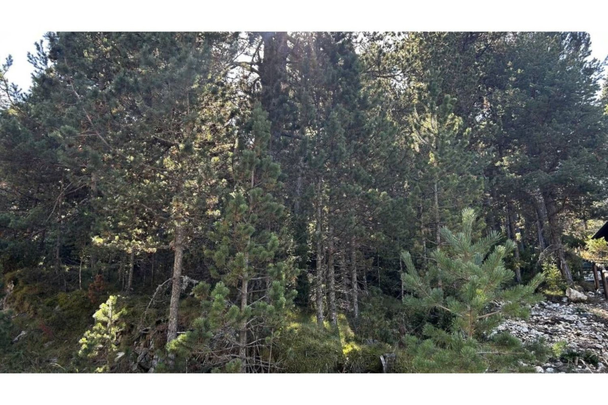 Land for sale in La Coma and la Pedra, Lleida photo 3