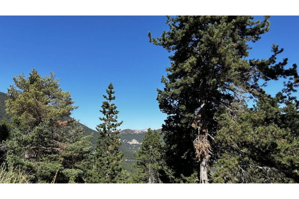 Land for sale in La Coma and la Pedra, Lleida photo 5