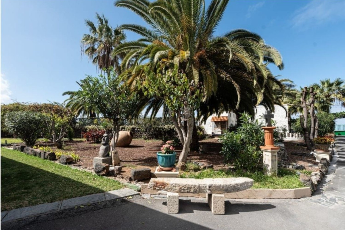Sale of independent chalet in San Felipe-San Marcos-Las Cañas, Icod de los Vinos
 photo 5