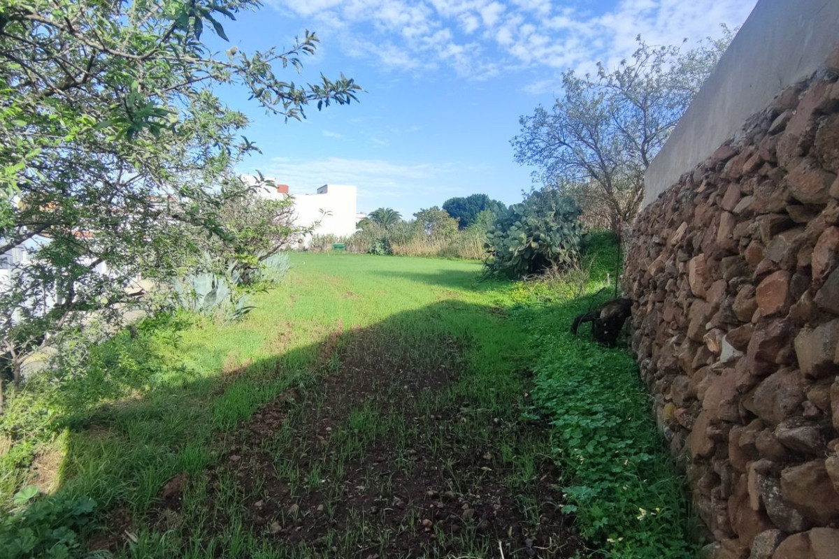 Terreno en venta en Valsequillo de Gran Canaria, Las Palmas photo 5