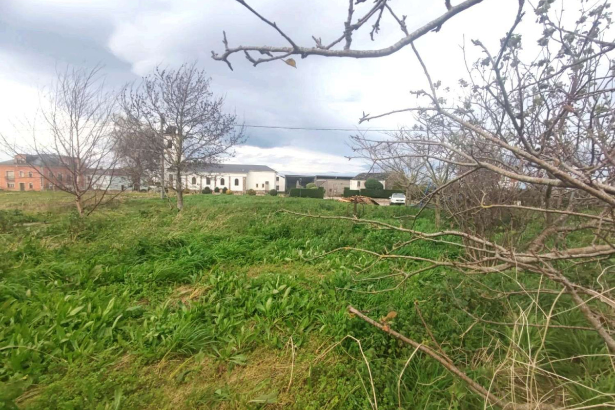 Terreno en venta en Castropol, Asturias photo 2