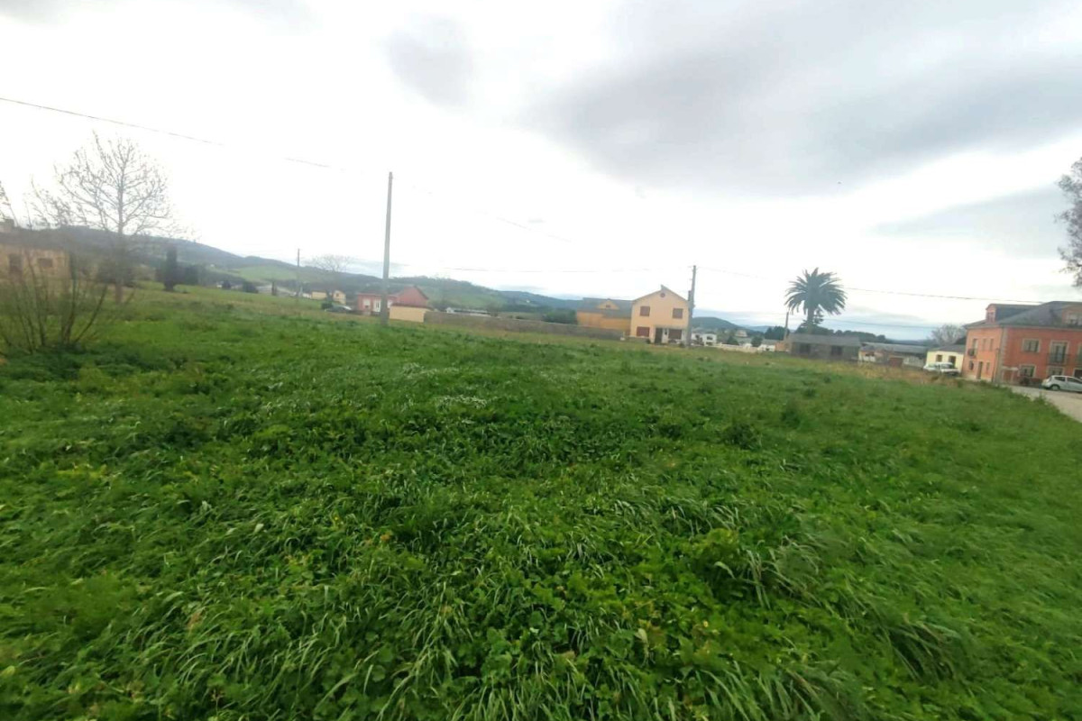 Terreno en venta en Castropol, Asturias photo 3