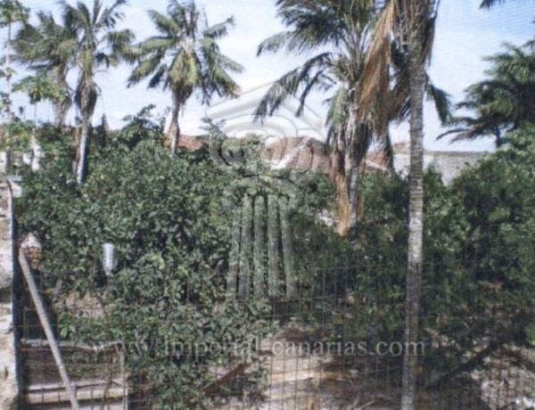 Продажа деревенского дома с участком земли в , Garachico photo 4