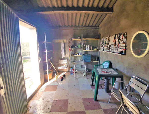 Terreno en venta en Fqq6+hr photo 4