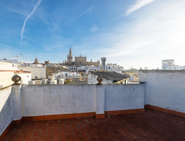 Chalet independiente en venta en Calle San Diego, Sevilla photo 1