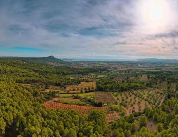 Finca rústica en venta en  Camino de les Dunes a Sobrestany s/n , Torroella de Montgrí photo 2