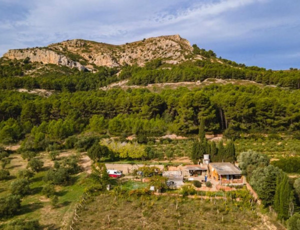 Finca rústica en venta en  Camino de les Dunes a Sobrestany s/n , Torroella de Montgrí photo 3