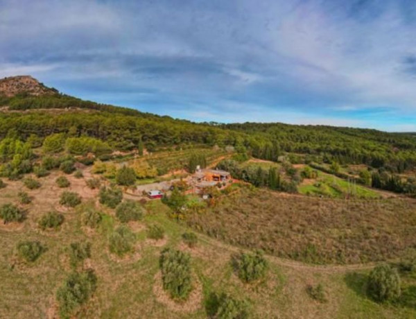 Finca rústica en venta en  Camino de les Dunes a Sobrestany s/n , Torroella de Montgrí photo 4