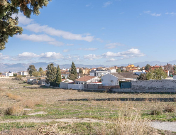 Terreno en venta en calle Geraneo thumbnail 2