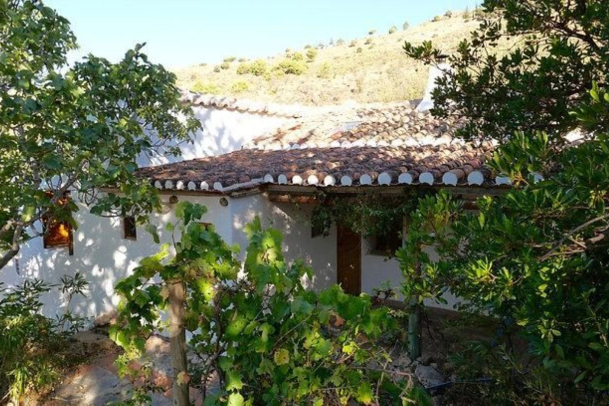 Properties for sale and rent in Spain photo 2