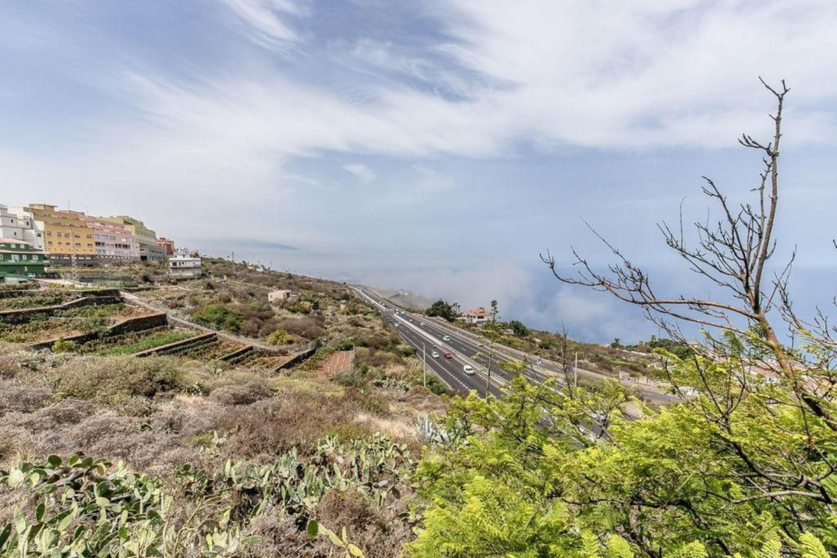 Terreno en venta en La Guancha, Santa Cruz de Tenerife photo 5