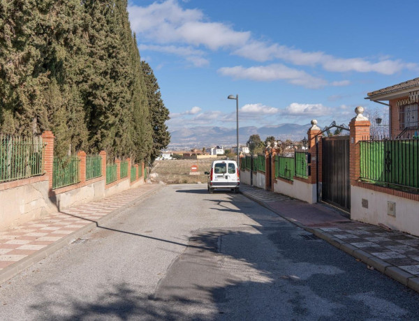 Terreno en venta en calle Geraneo photo 4